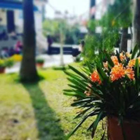 Casa rural Real De *