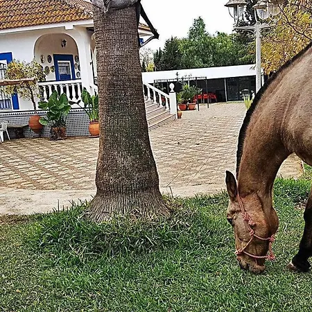 Real De Casa rural *
