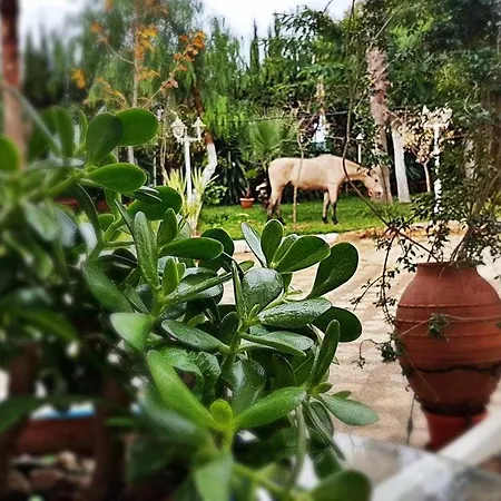 Real De Casa rural Niebla